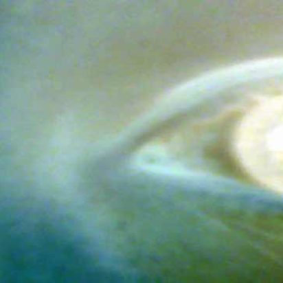 light switch theory in the blink of an eye Andrew Parker