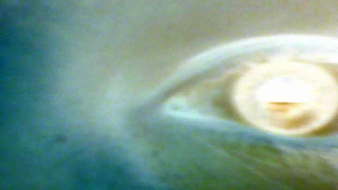 light switch theory in the blink of an eye Andrew Parker