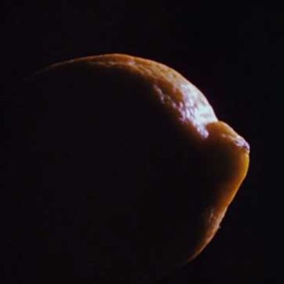 Hollis Frampton Lemon film analysis