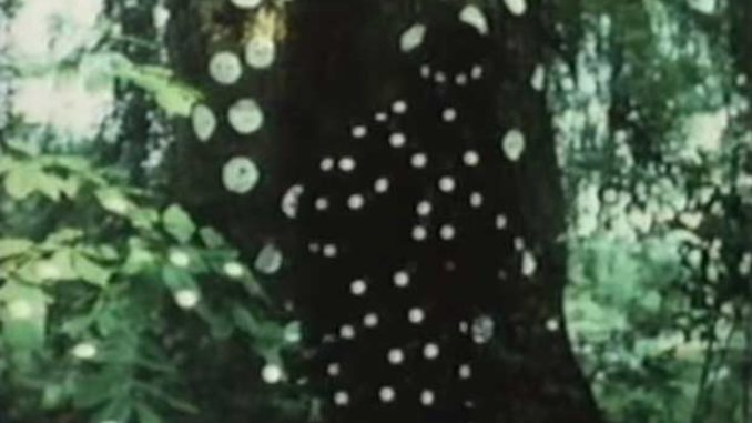 Yayoi Kusama Self-Obliteration