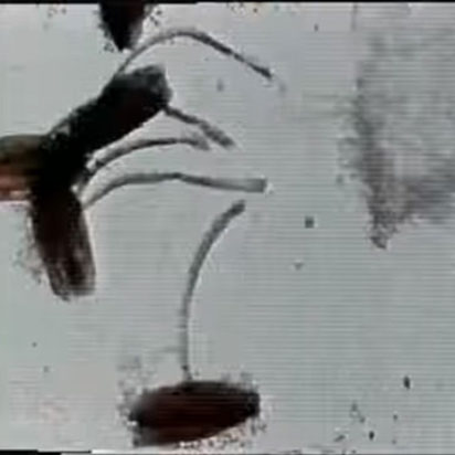 metaphors on vision stan brakhage
