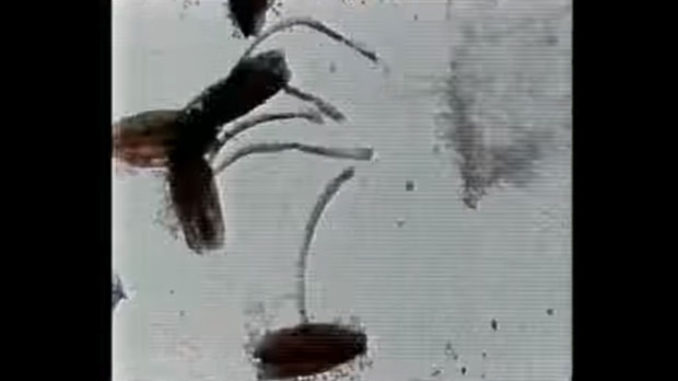metaphors on vision stan brakhage
